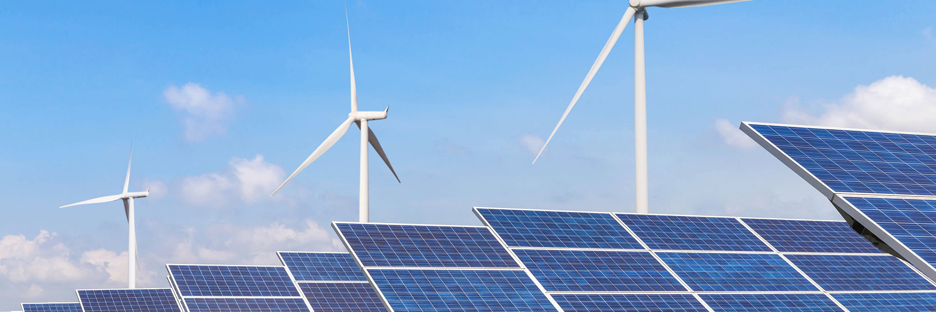 杏彩官网体育
青海.jpg